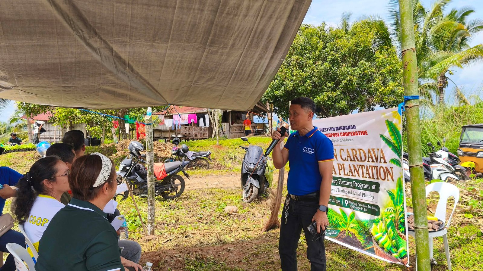 𝐆𝐨𝐥𝐝𝐞𝐧 𝐂𝐚𝐫𝐝𝐚𝐯𝐚 𝐁𝐚𝐧𝐚𝐧𝐚 𝐏𝐥𝐚𝐧𝐭𝐚𝐭𝐢𝐨𝐧 – 𝐒𝐭𝐚𝐫𝐭𝐮𝐩 𝐏𝐥𝐚𝐧𝐭𝐢𝐧𝐠 𝐏𝐫𝐨𝐠𝐫𝐚𝐦